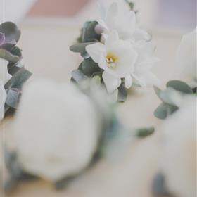 fwthumbWedding 2.jpg